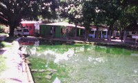 /album/hotel-villas-del-lago/img-20140626-094004-copia-2-jpg/